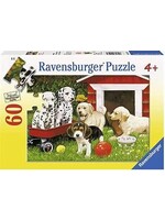 RAVENSBURGER PUZZLE 60 PC PUPPY PARTY