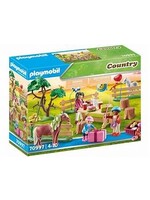 PLAYMOBIL PLAYMO PONY FARM BIRTHDAY PARTY