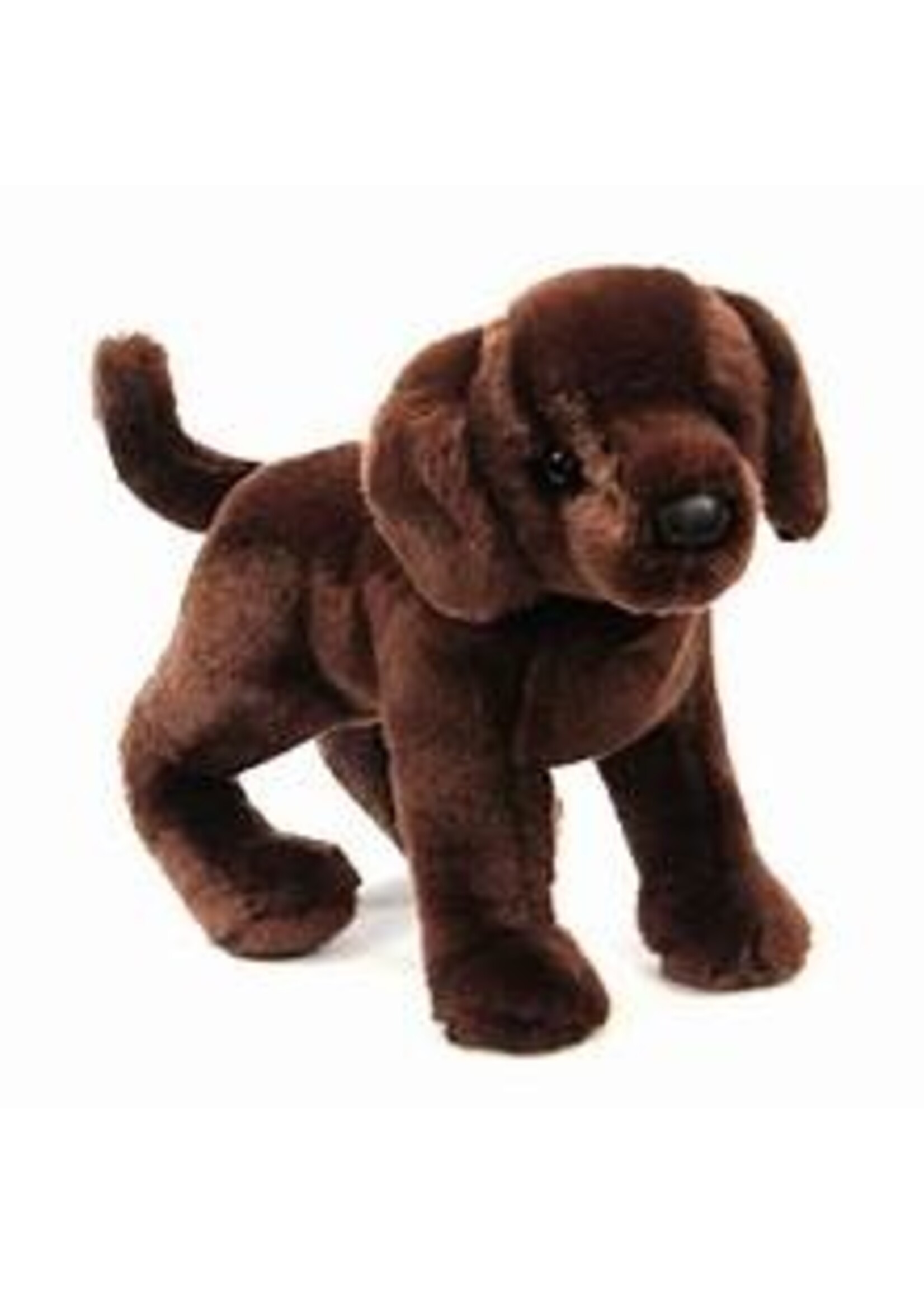 DOUGLAS PLUSH CHOCOLATE LAB COCOA