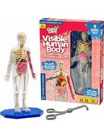 THAMES AND KOSMOS THAMES VISIBLE HUMAN BODY