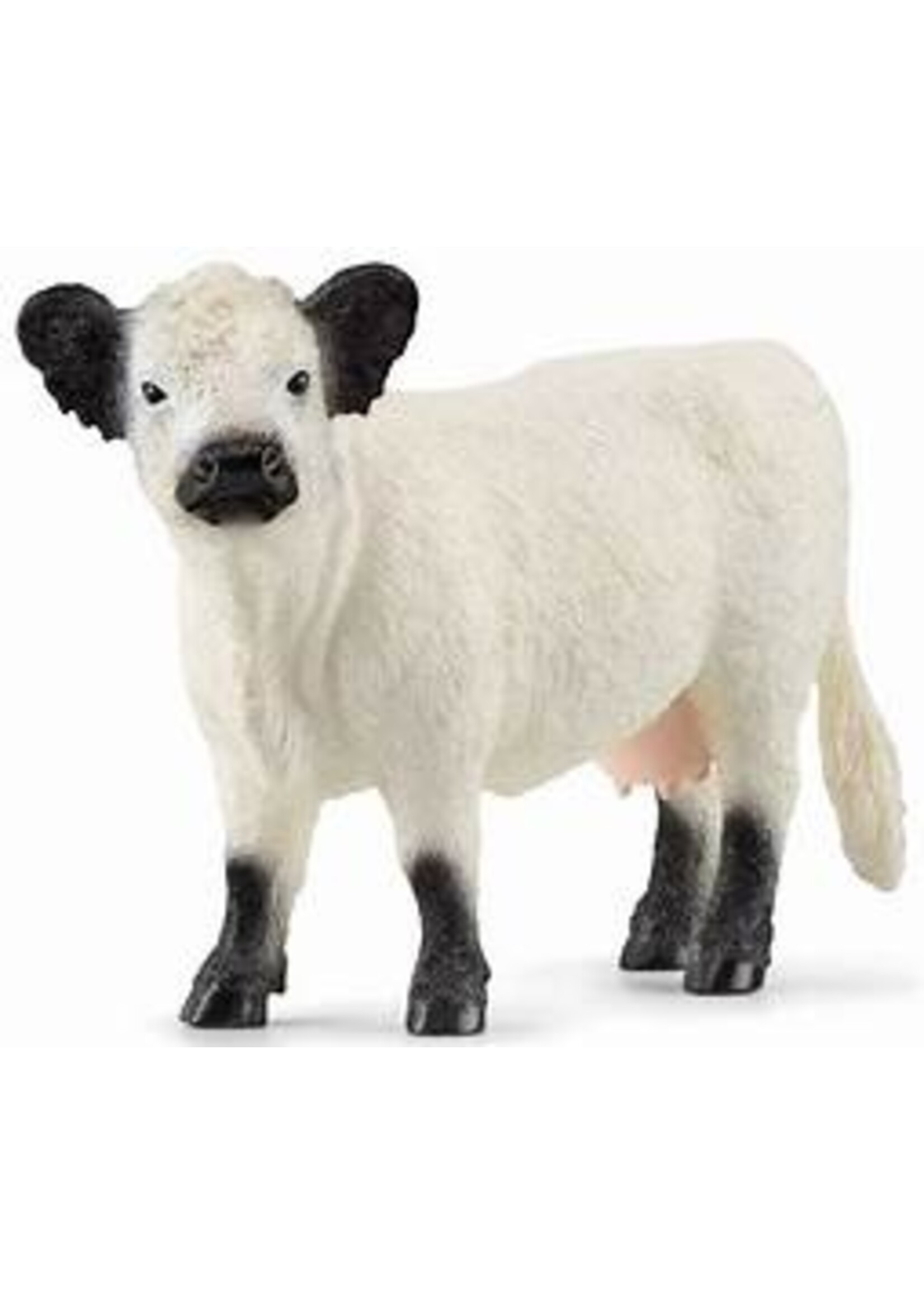 SCHLEICH SCHLEICH GALLOWAY CATTLE