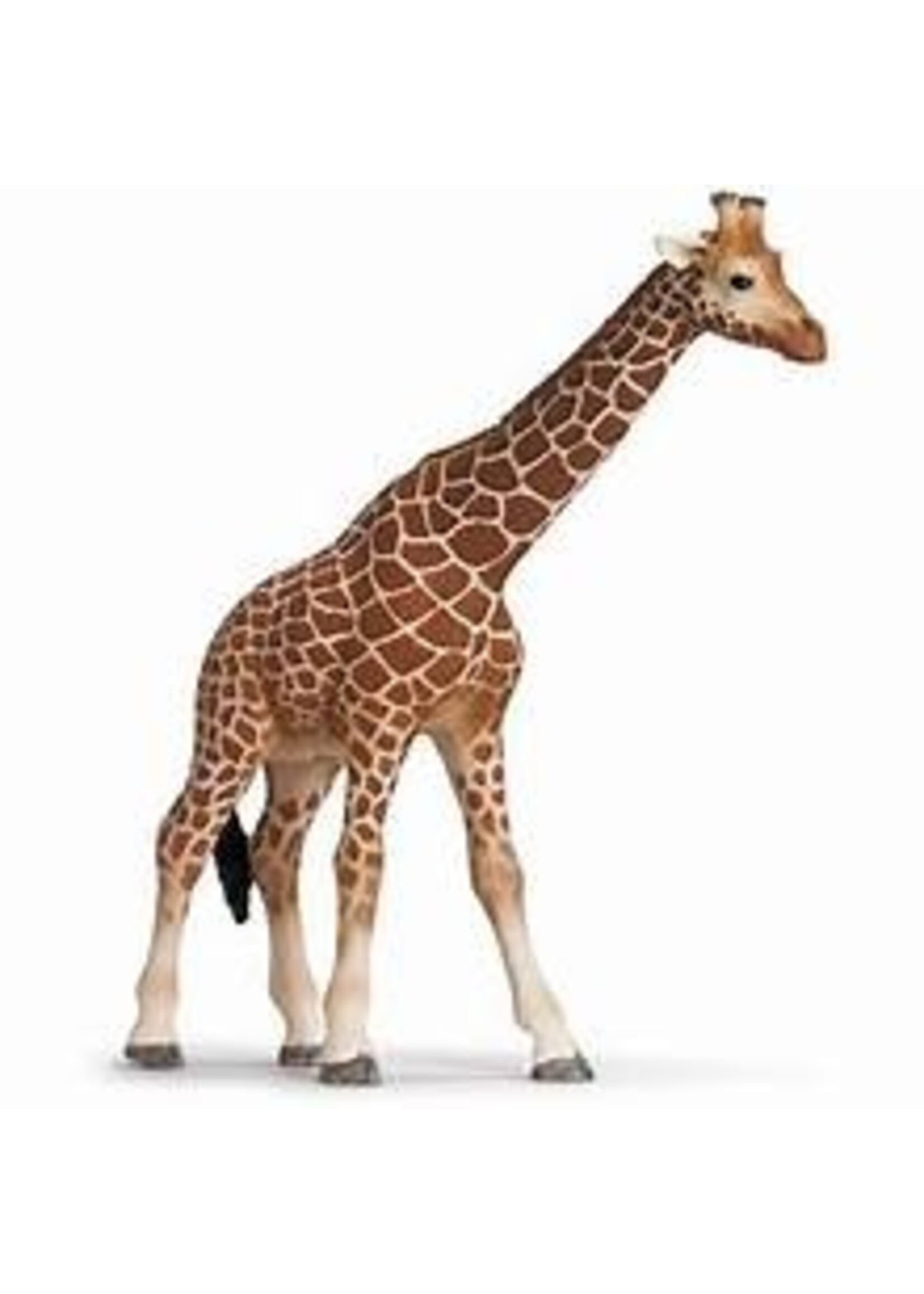 SCHLEICH SCHLEICH GIRAFFE FEMALE