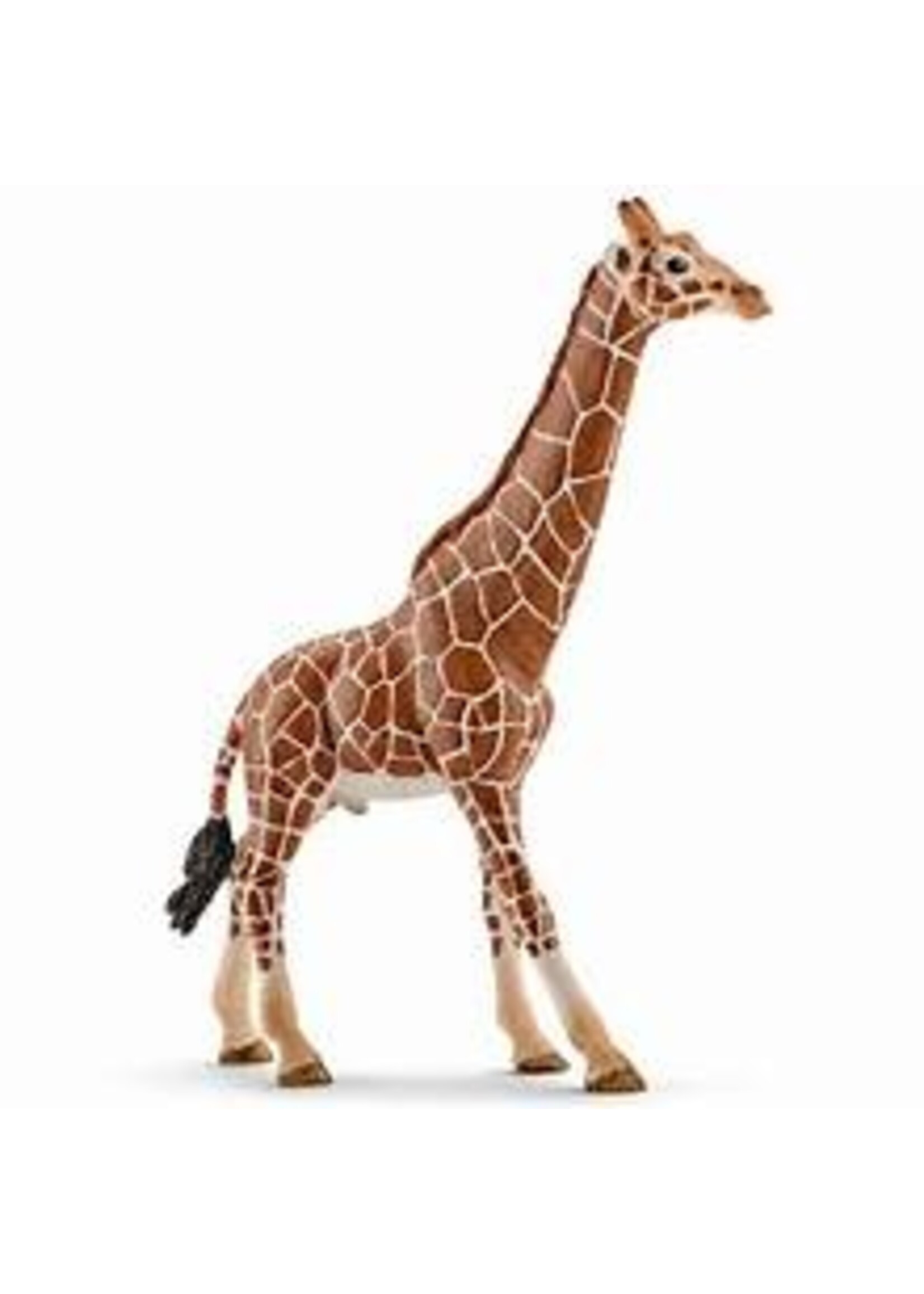 SCHLEICH SCHLEICH GIRAFFE MALE