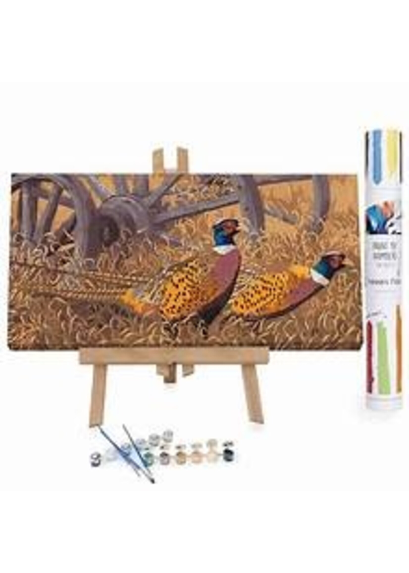 WINNIES PICKS PAINT BY NUMBER PHEASANTS IN THE GRASS