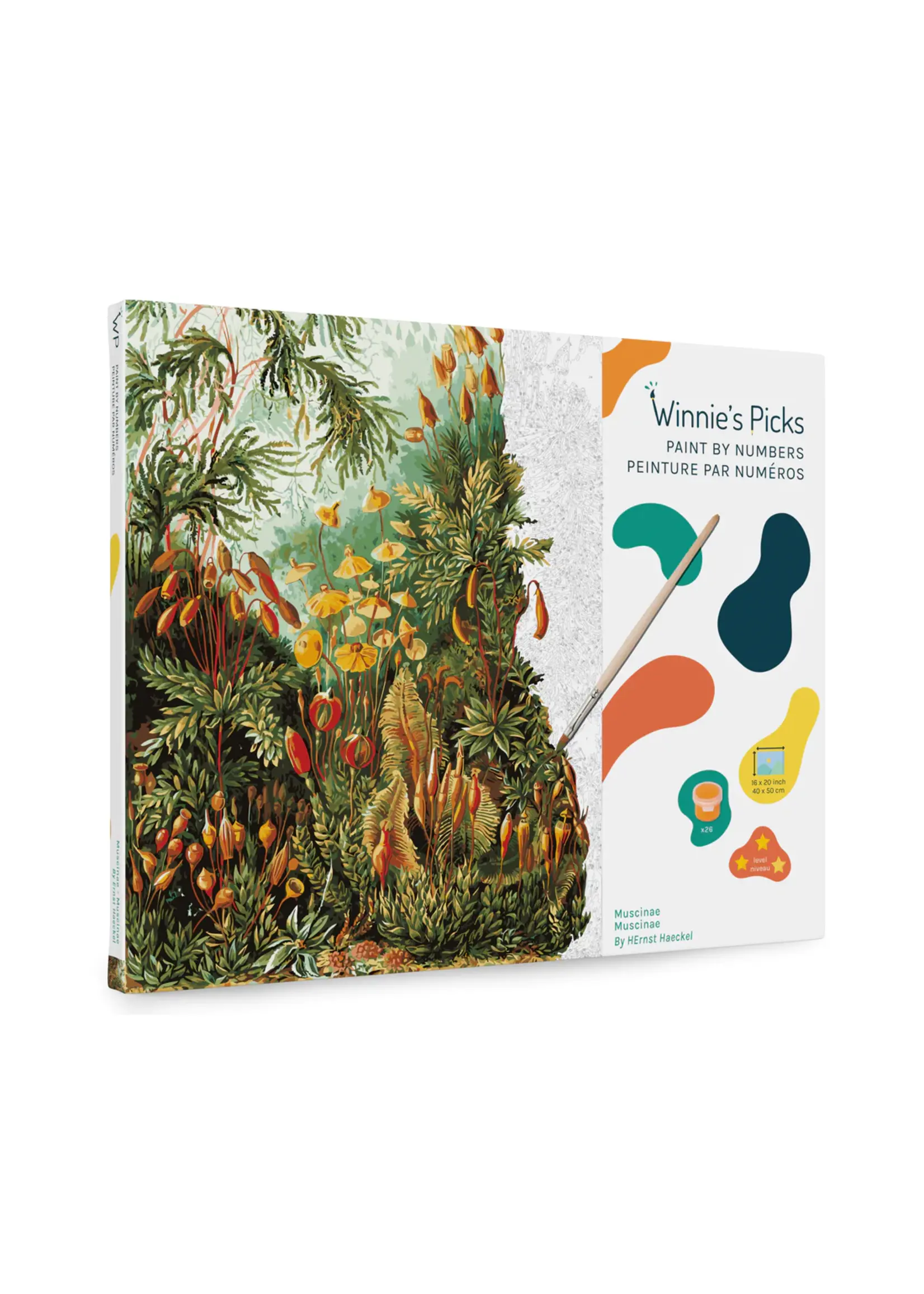 WINNIES PICKS PAINT BY NUMBER MUSCINAE