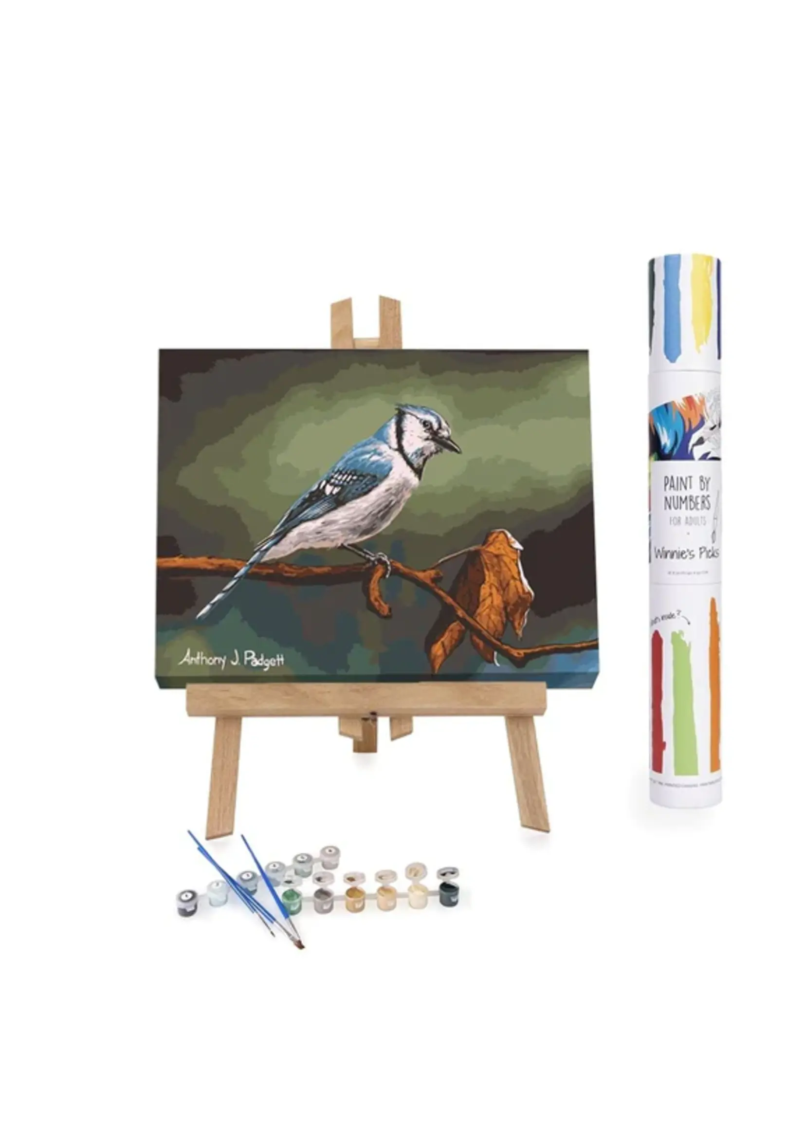WINNIES PICKS PAINT BY NUMBER CURIOUS BLUE