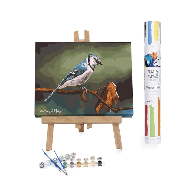 PAINT BY NUMBER CURIOUS BLUE