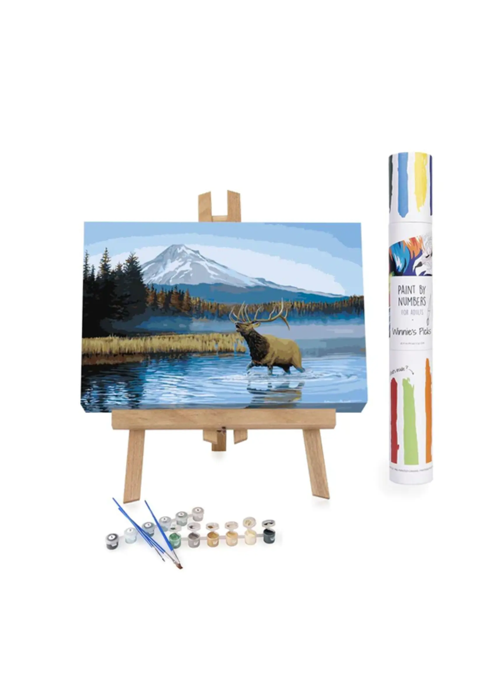 WINNIES PICKS PAINT BY NUMBER TAKING CHARGE