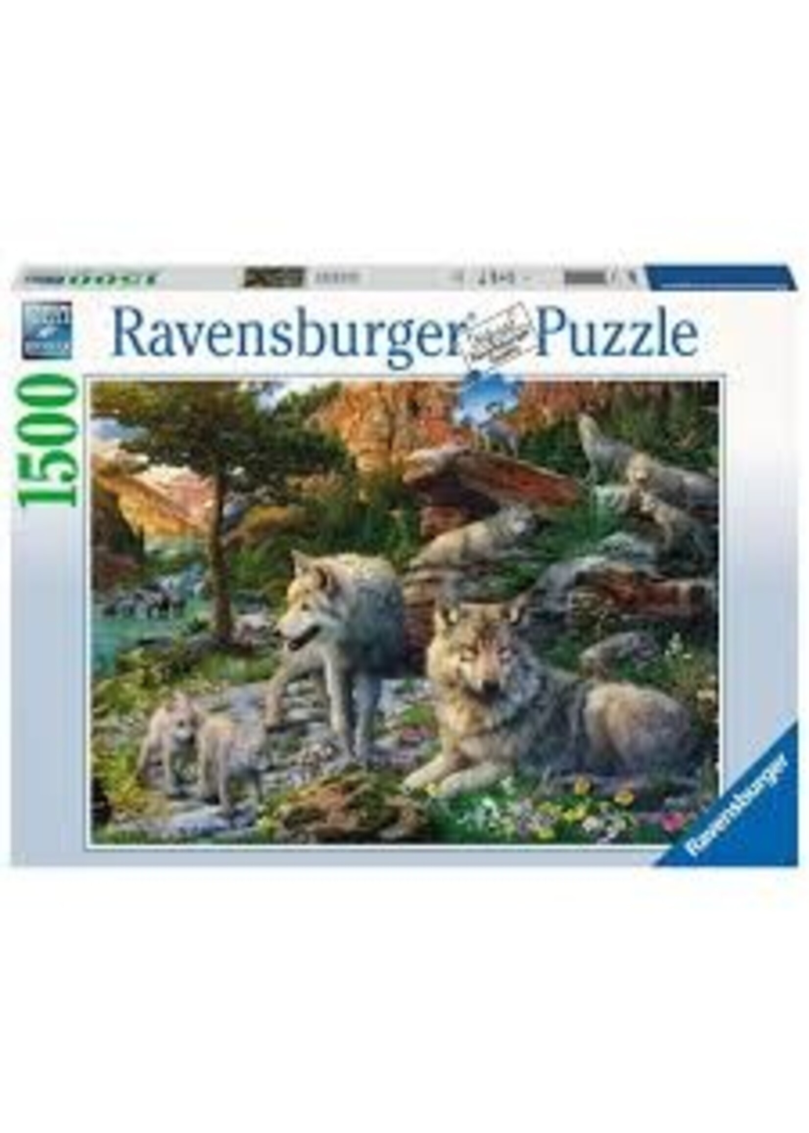 RAVENSBURGER PUZZLE 1500 PC WOLVES IN SPRING