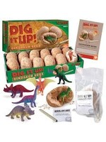 DIG IT UP! DINOSAUR EGGS