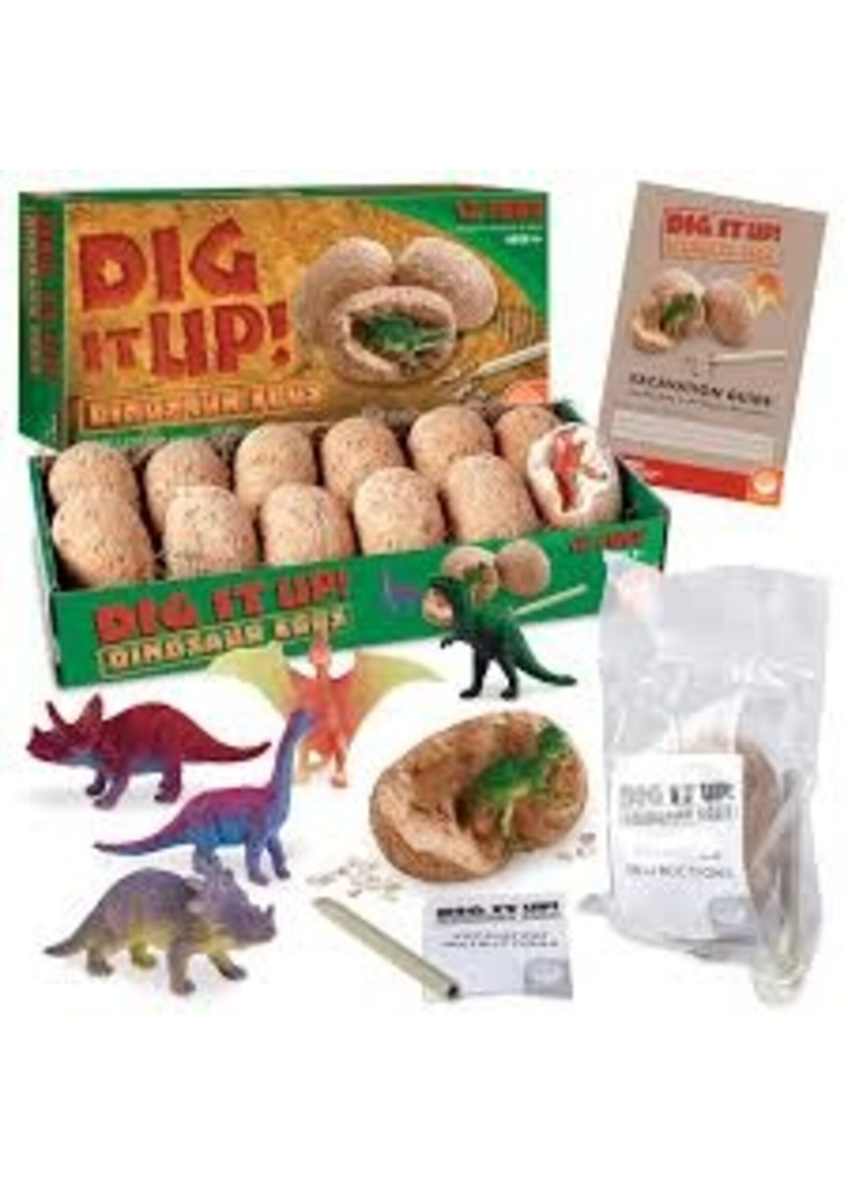 DIG IT UP! DINOSAUR EGGS