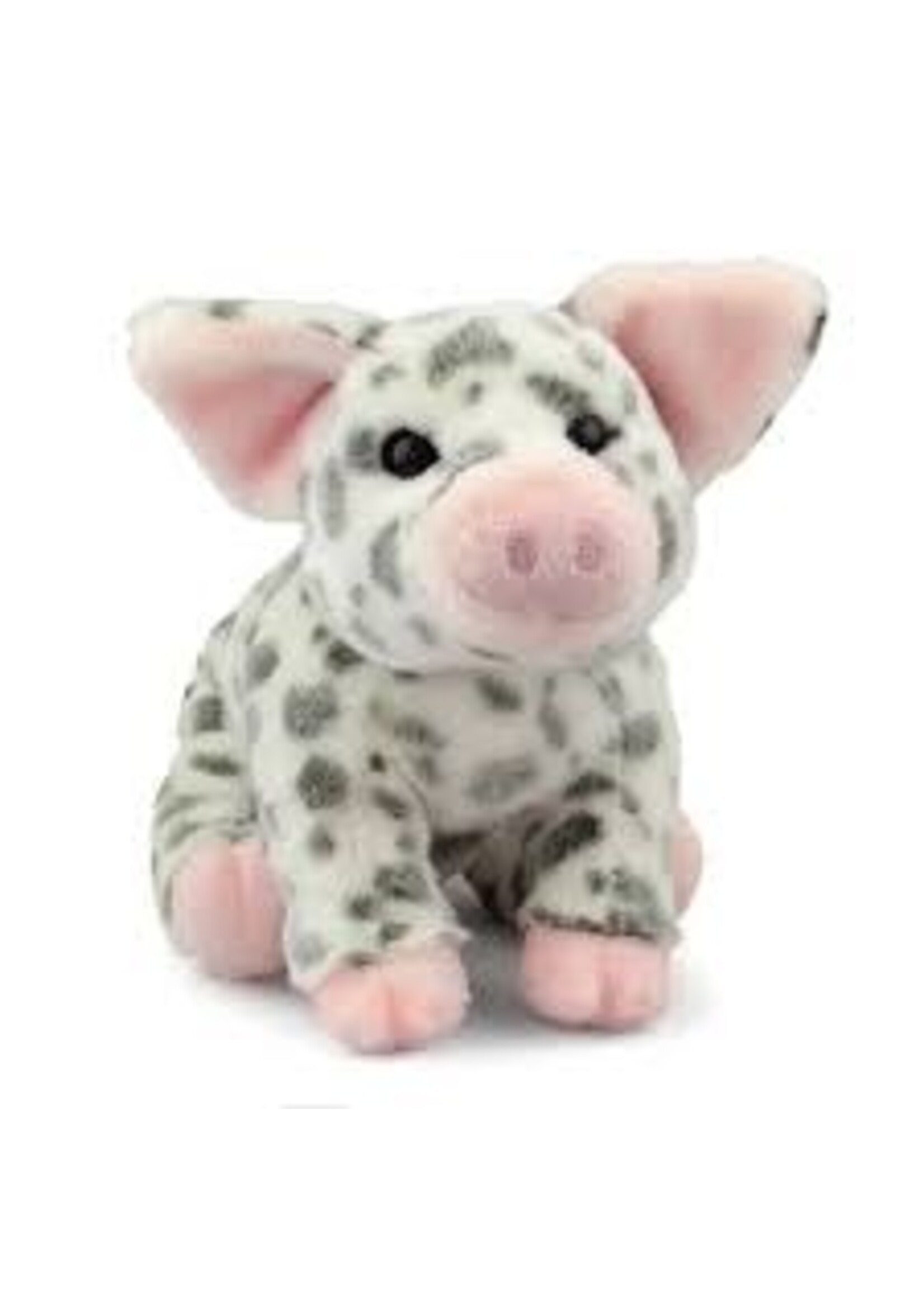 DOUGLAS PLUSH PIG PAULINE LARGE