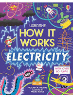 BOOK HOW IT WORKS ELECTRICITY