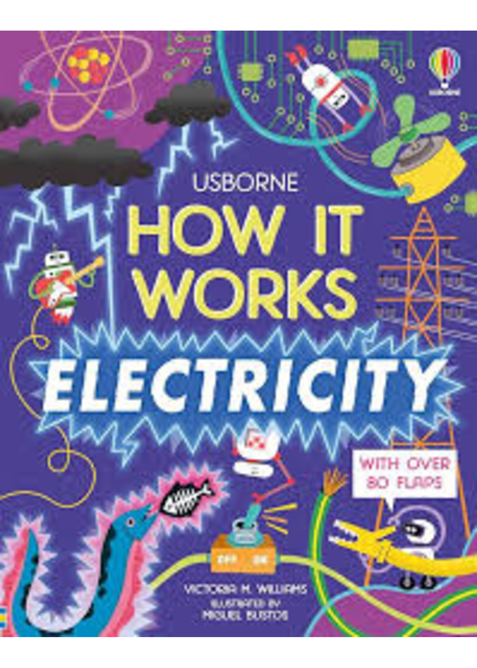 BOOK HOW IT WORKS ELECTRICITY