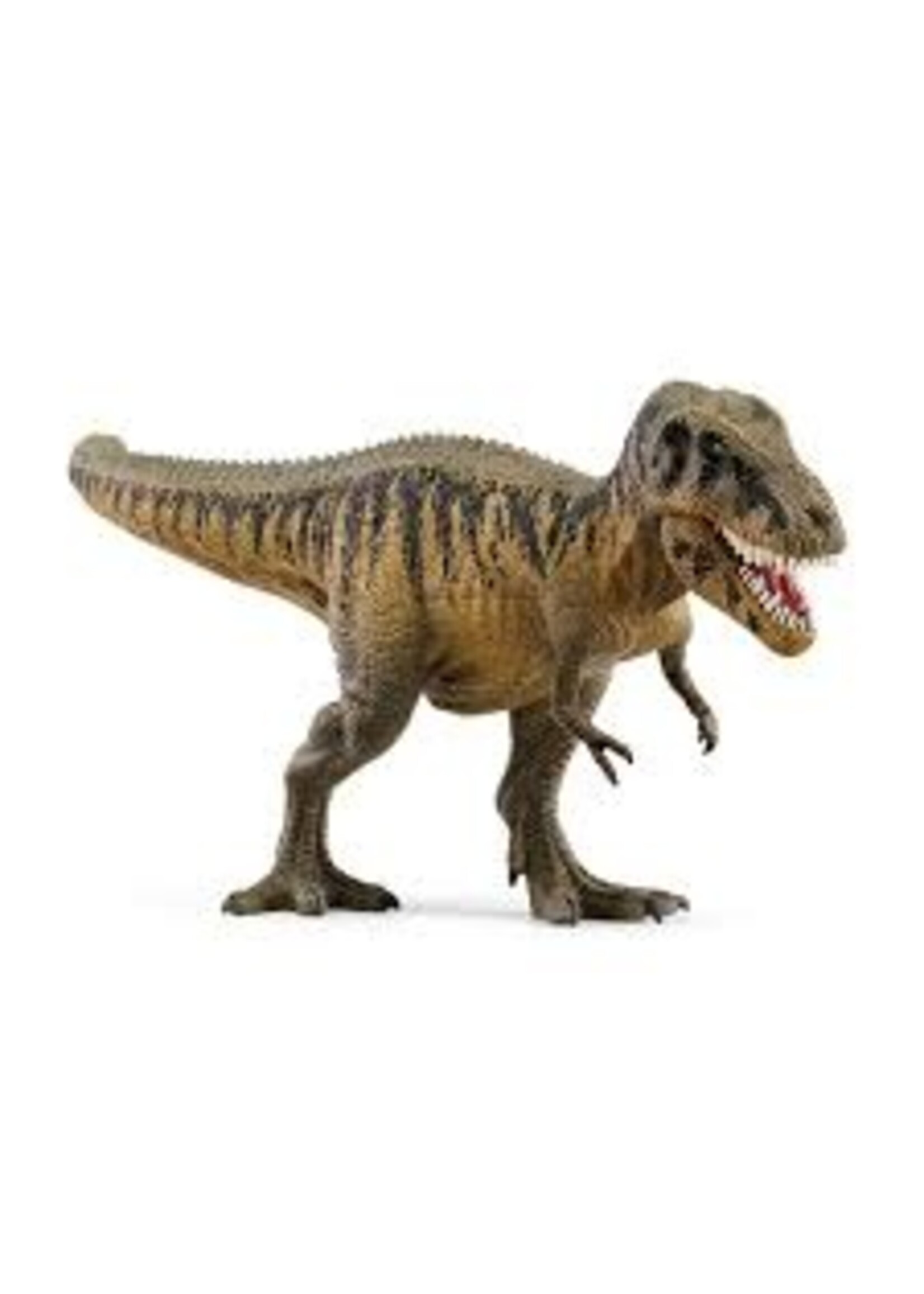 SCHLEICH SCHLEICH TARBOSAURUS