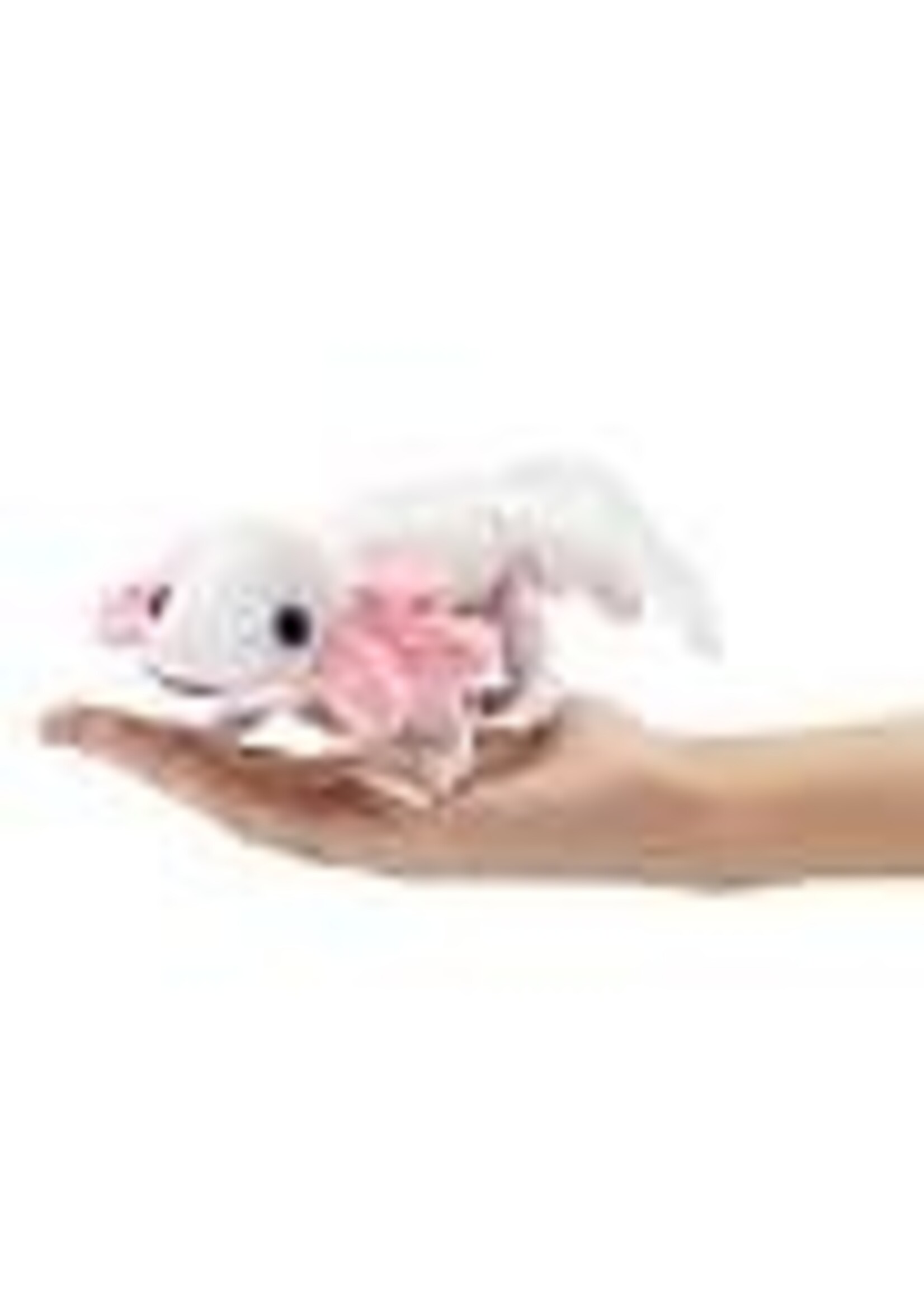 PUPPET AXOLOTL
