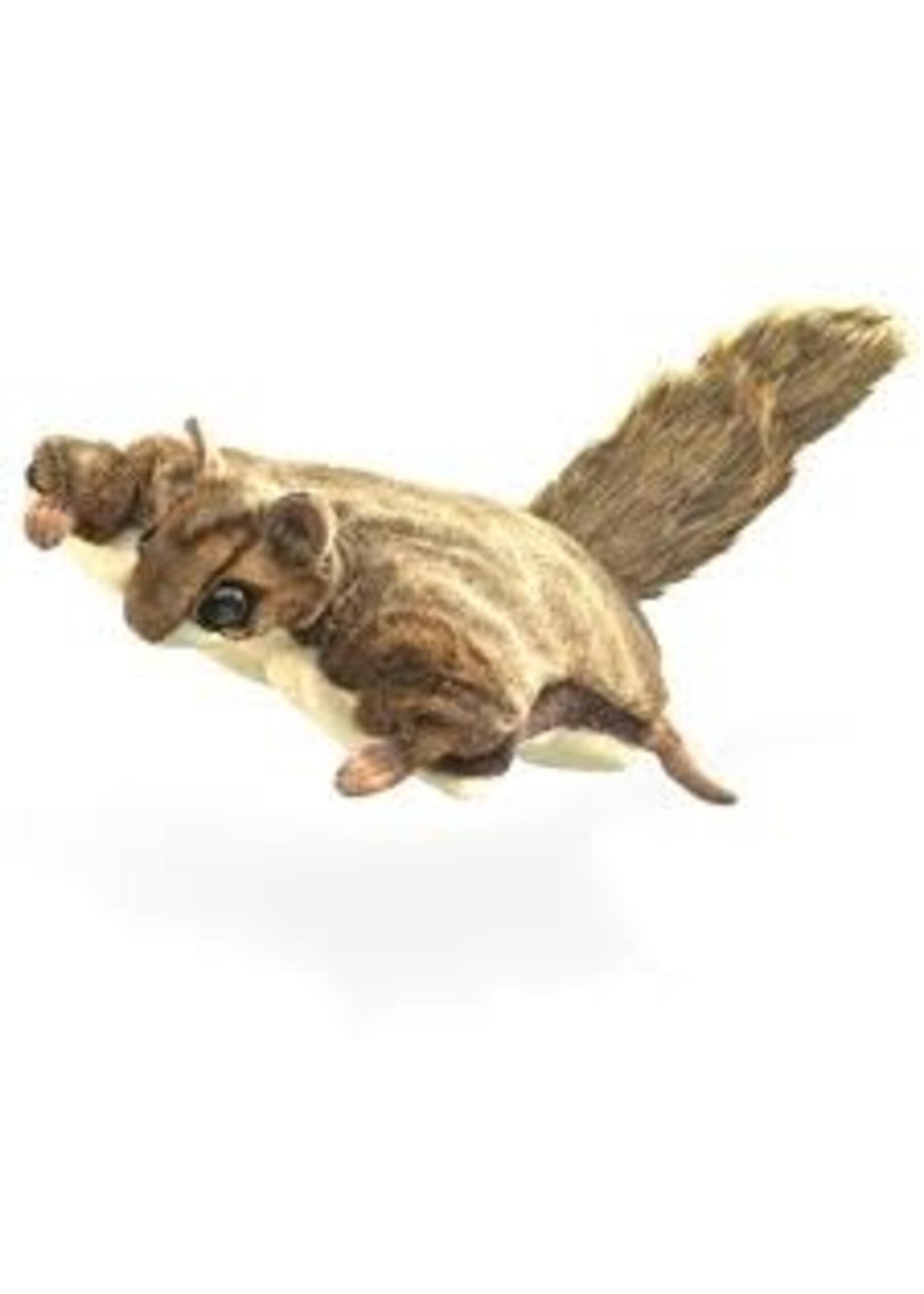 PUPPET FLYING SQUIRREL