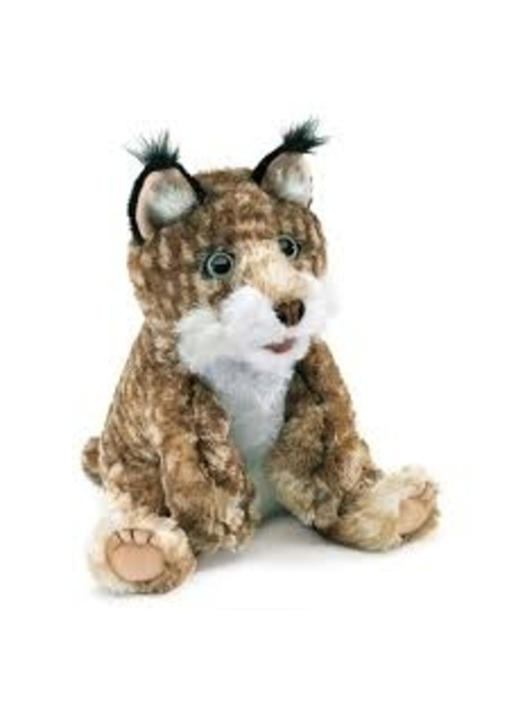 PUPPET BOBCAT KITTEN