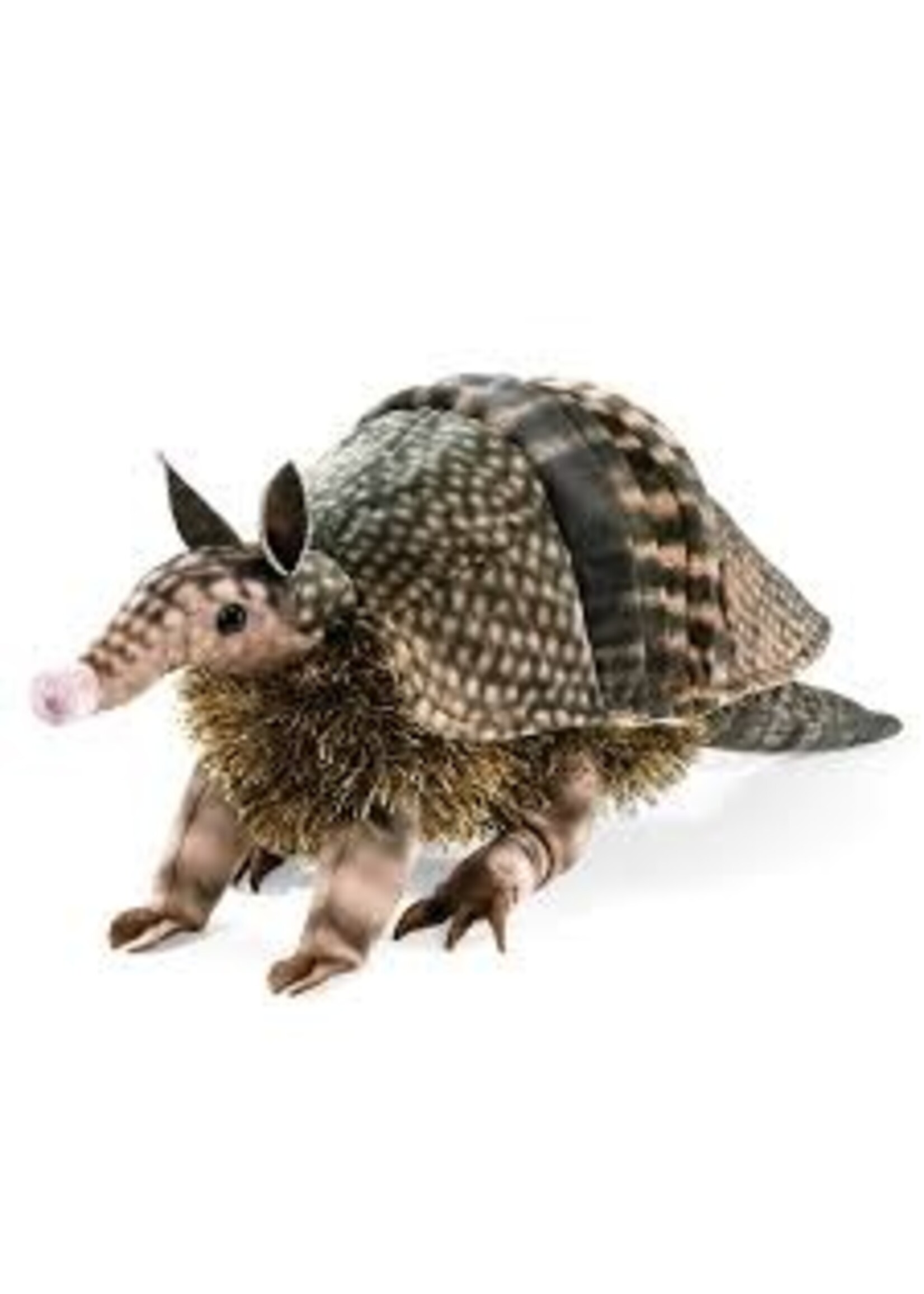 PUPPET ARMADILLO