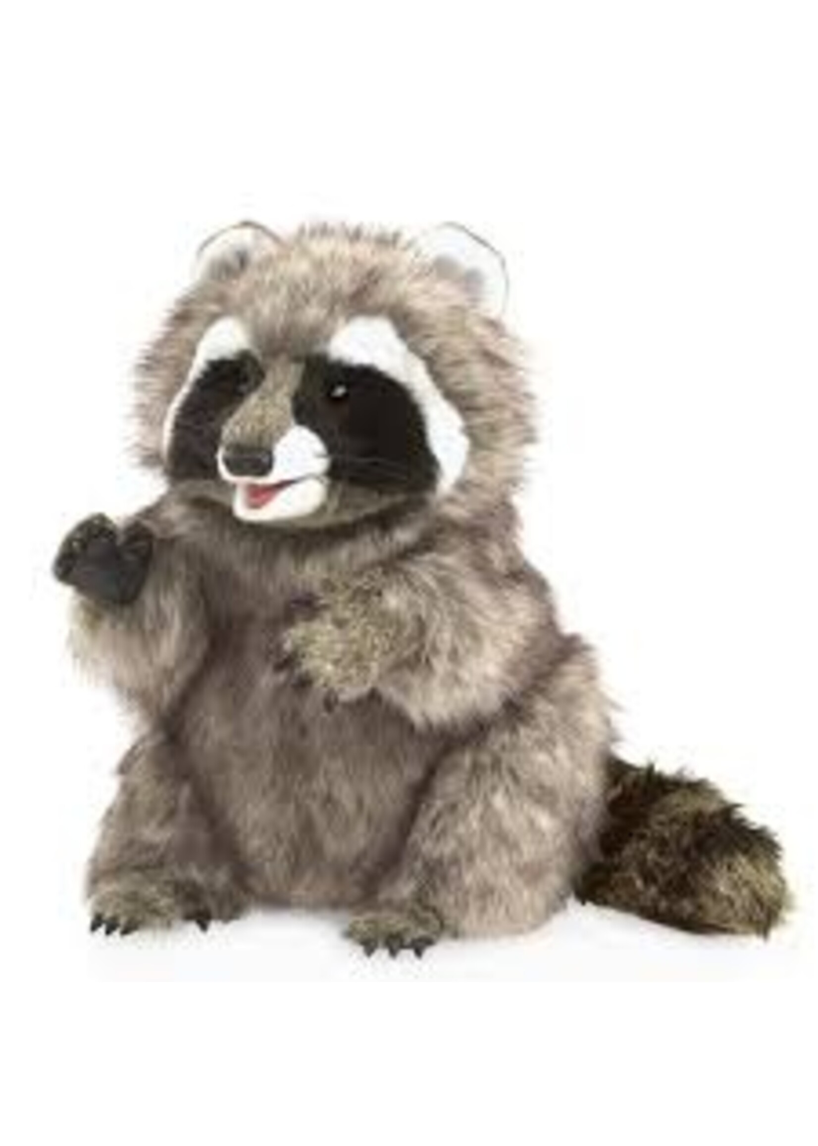 PUPPET RACCOON