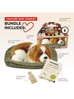 PERFECT PETZZZ PERFECT PETZ CAVALIER KING CHARLES