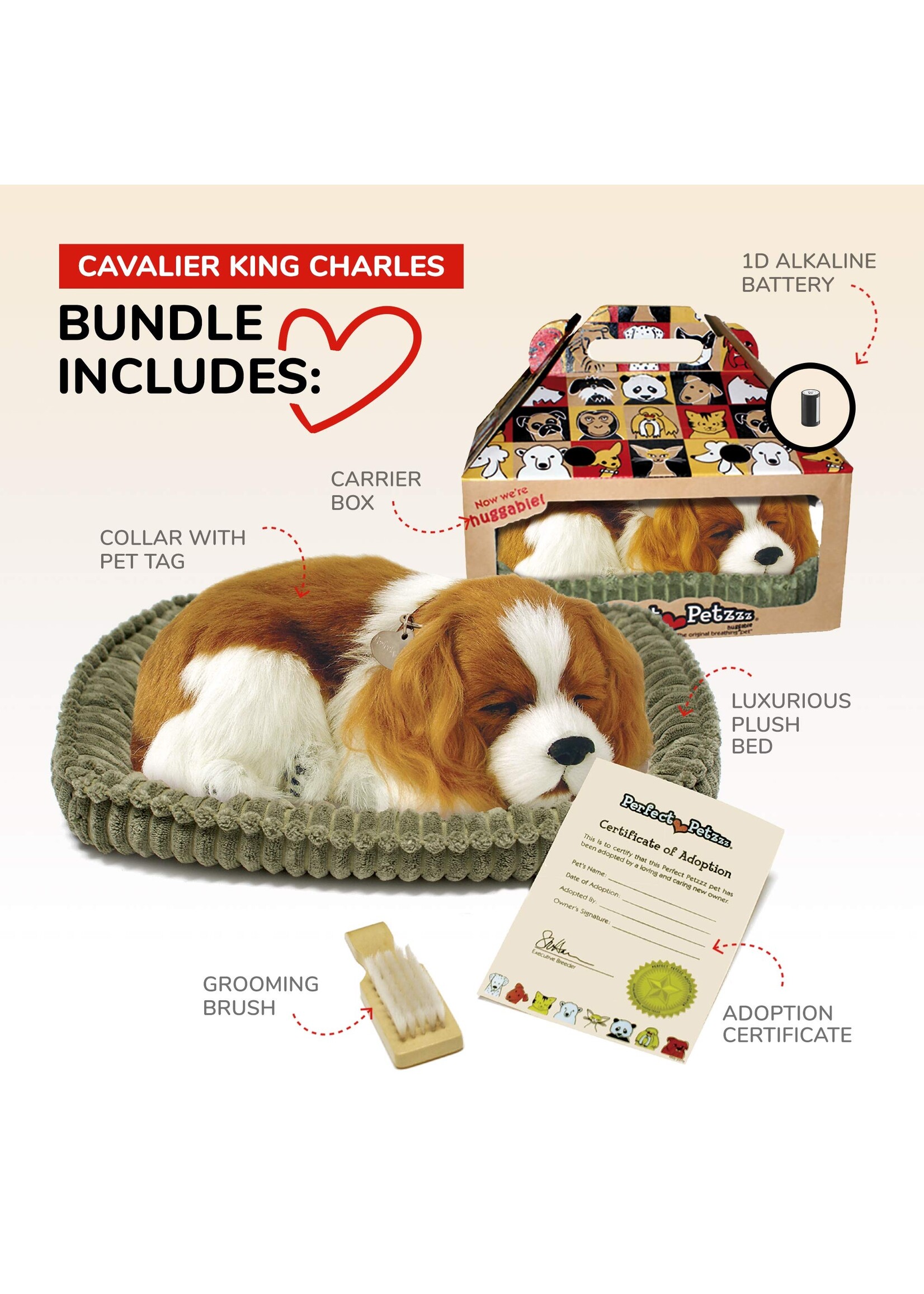 PERFECT PETZZZ PERFECT PETZ CAVALIER KING CHARLES