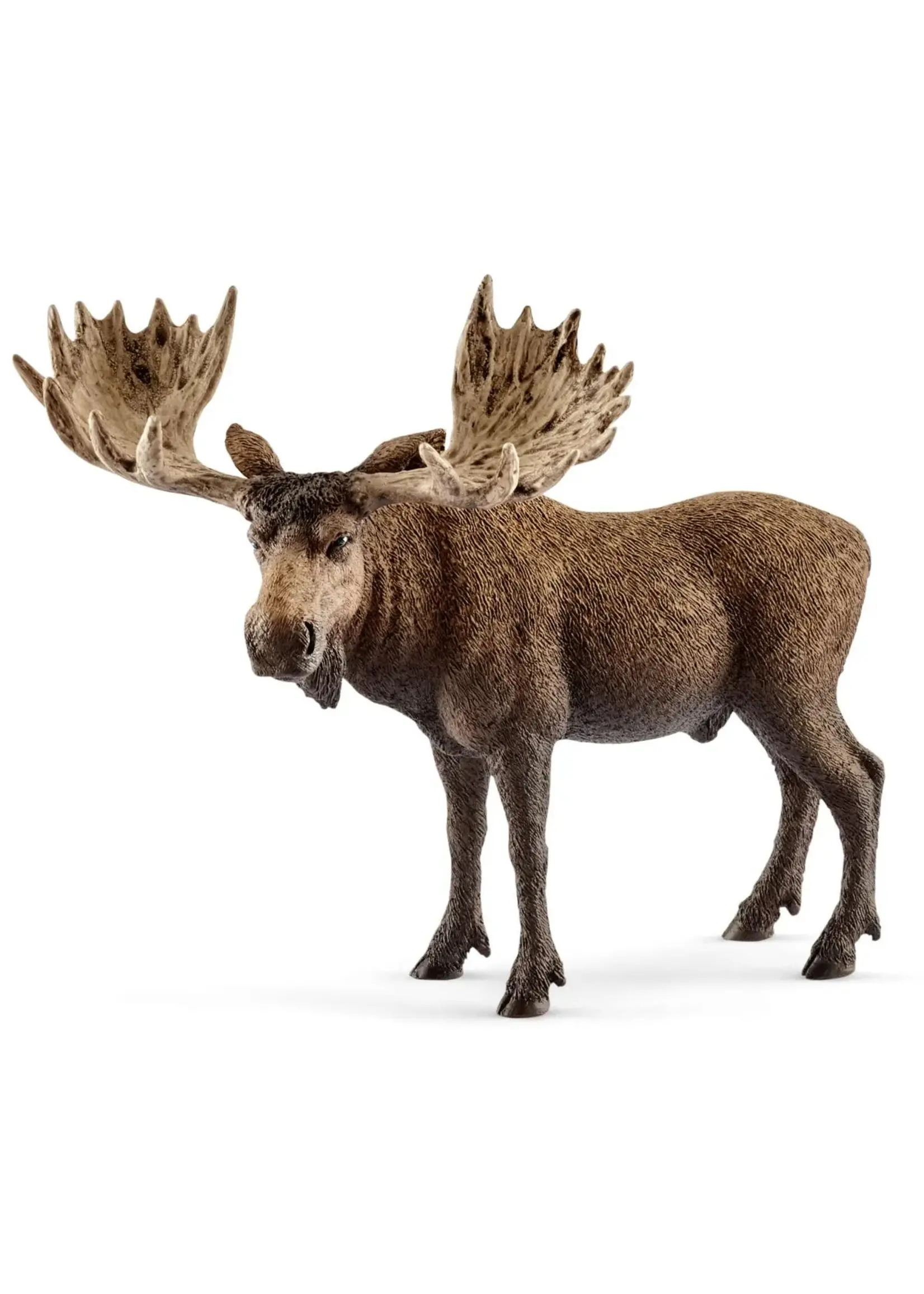 SCHLEICH SCHLEICH MOOSE BULL
