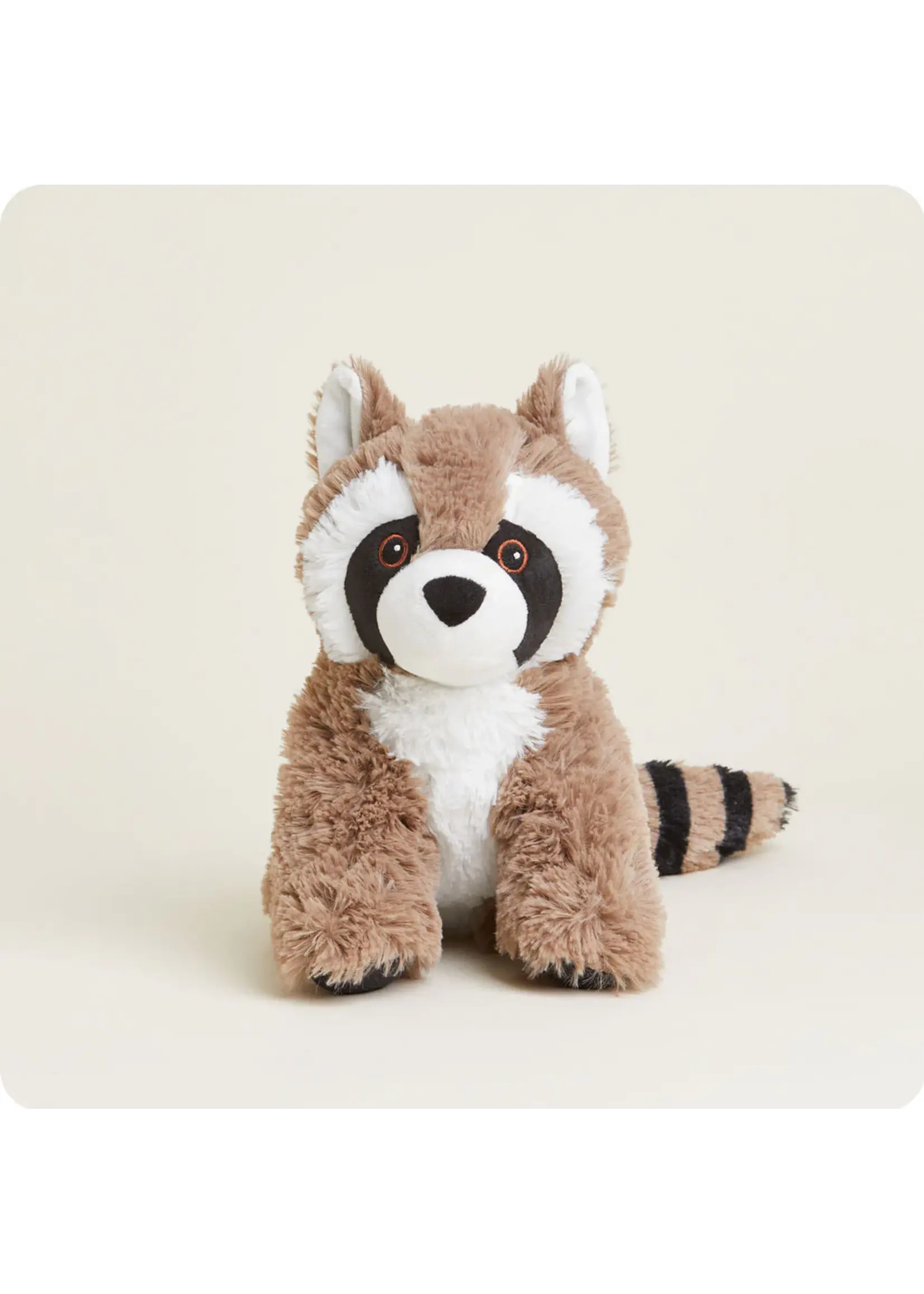 INTELEX (WARMIES) PLUSH WARMIES RACCOON