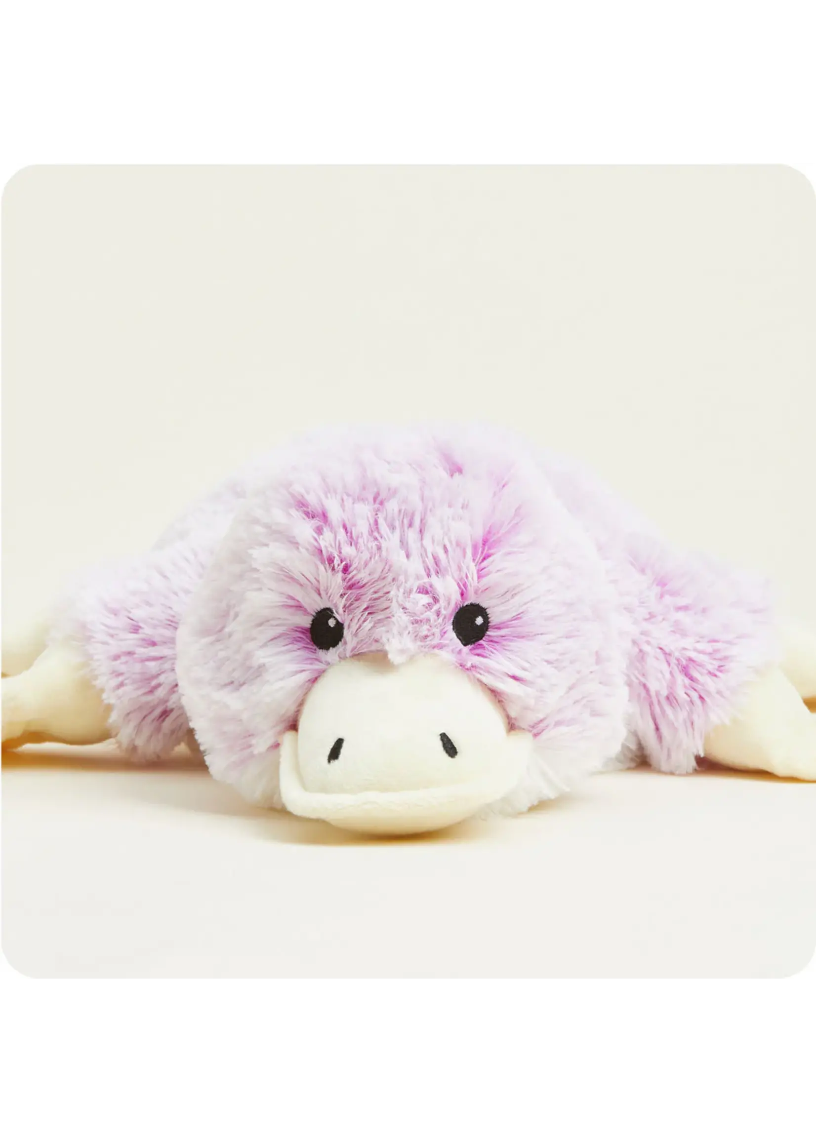 INTELEX (WARMIES) PLUSH WARMIES PLATYPUS