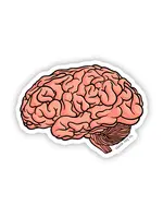 BLANK TAG CO. STICKER ANATOMICAL BRAIN