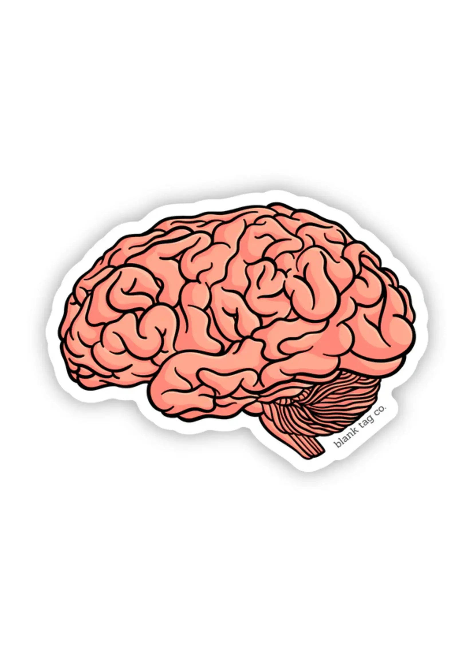 BLANK TAG CO. STICKER ANATOMICAL BRAIN