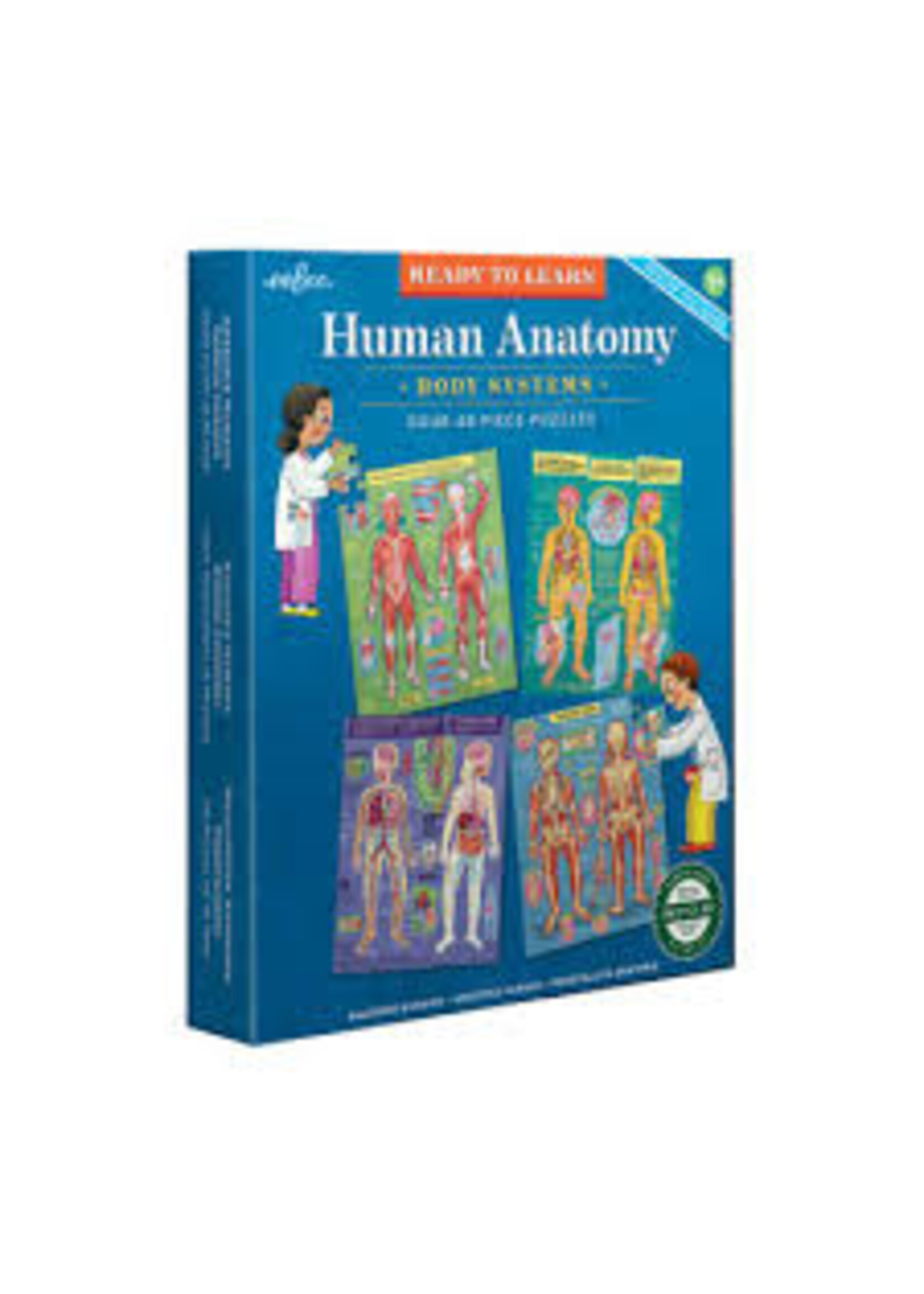 EEBOO EEBOO PUZZLE HUMAN ANATOMY