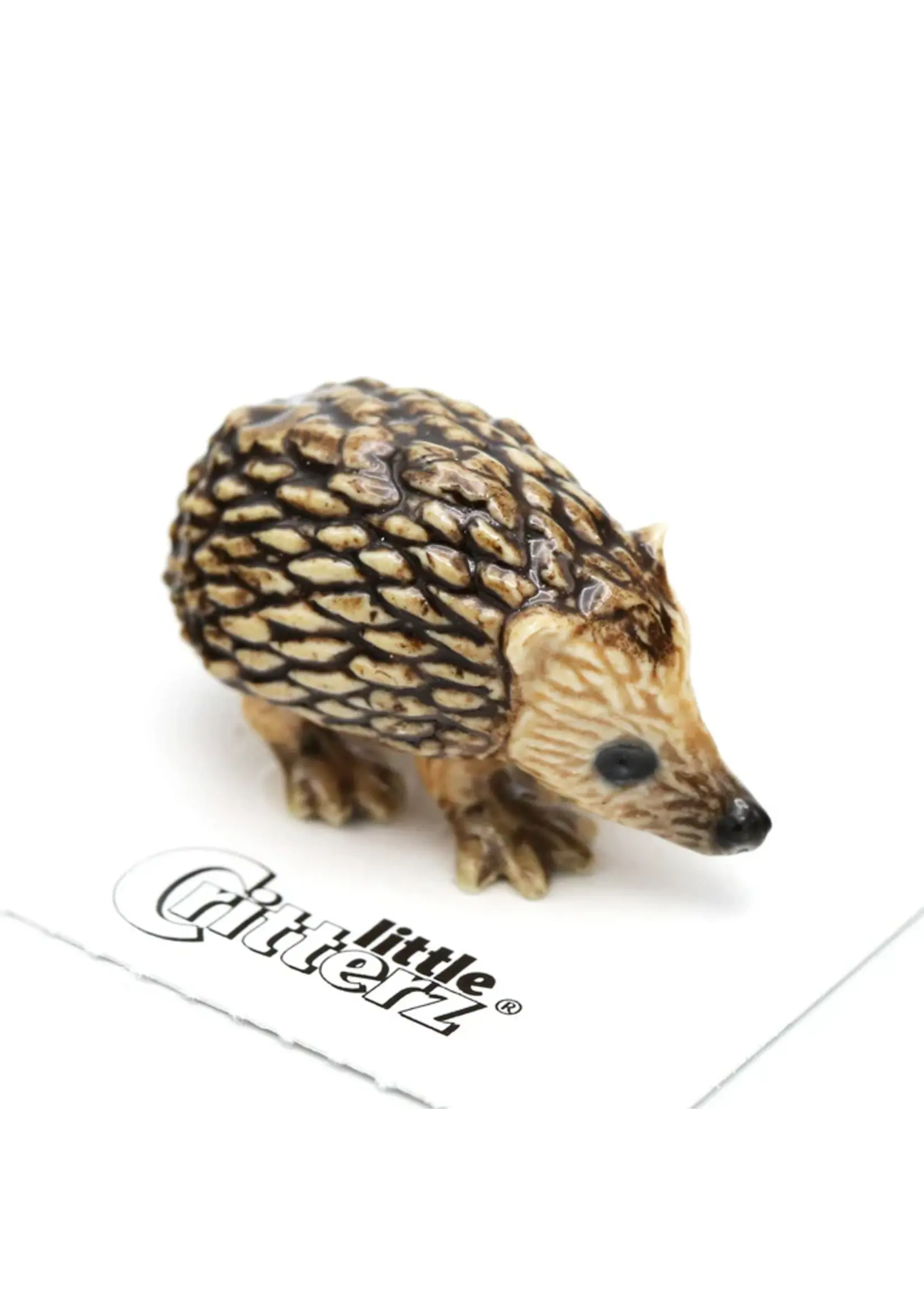 LITTLE CRITTERZ LITTLE CRITTER TIGGY HEDGEHOG