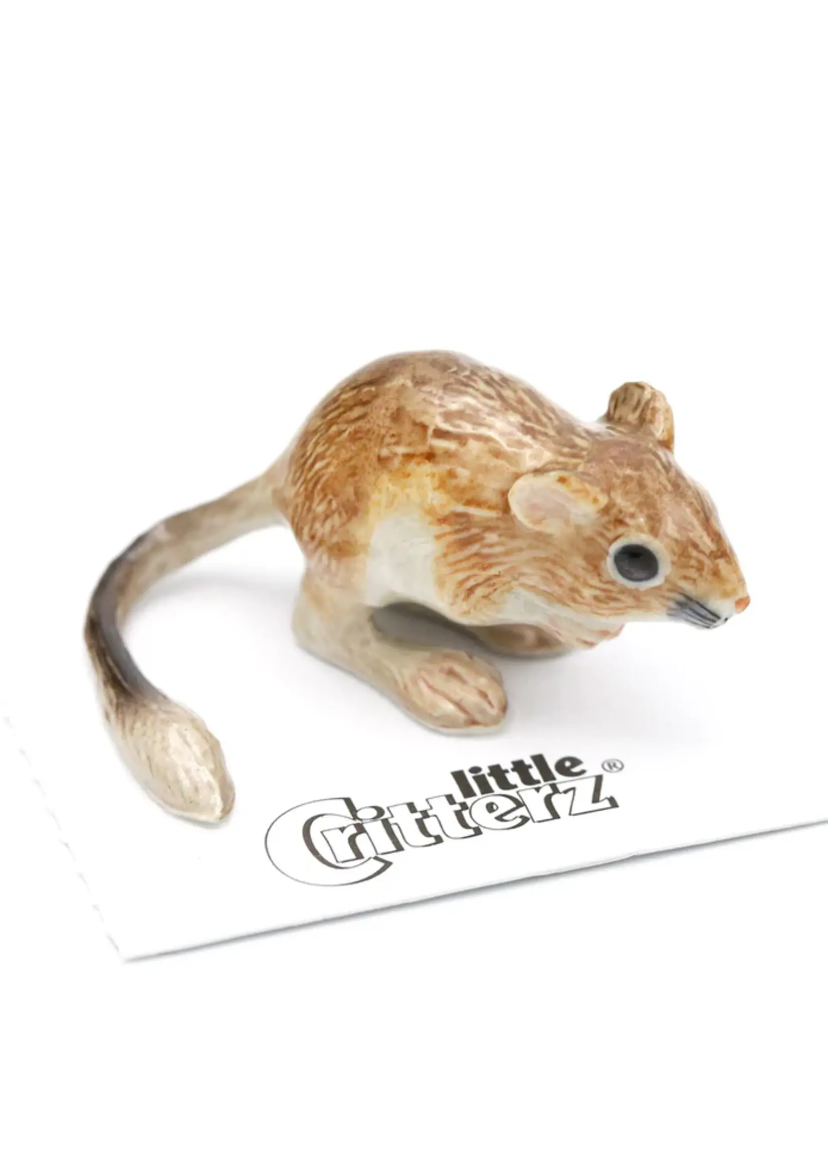 LITTLE CRITTERZ LITTLE CRITTER FRESNO KANGAROO RAT