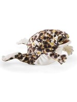 PUPPET DESERT RAIN FROG