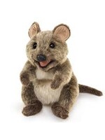 PUPPET QUOKKA