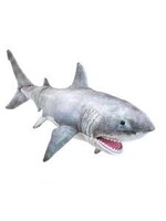 PUPPET SHARK