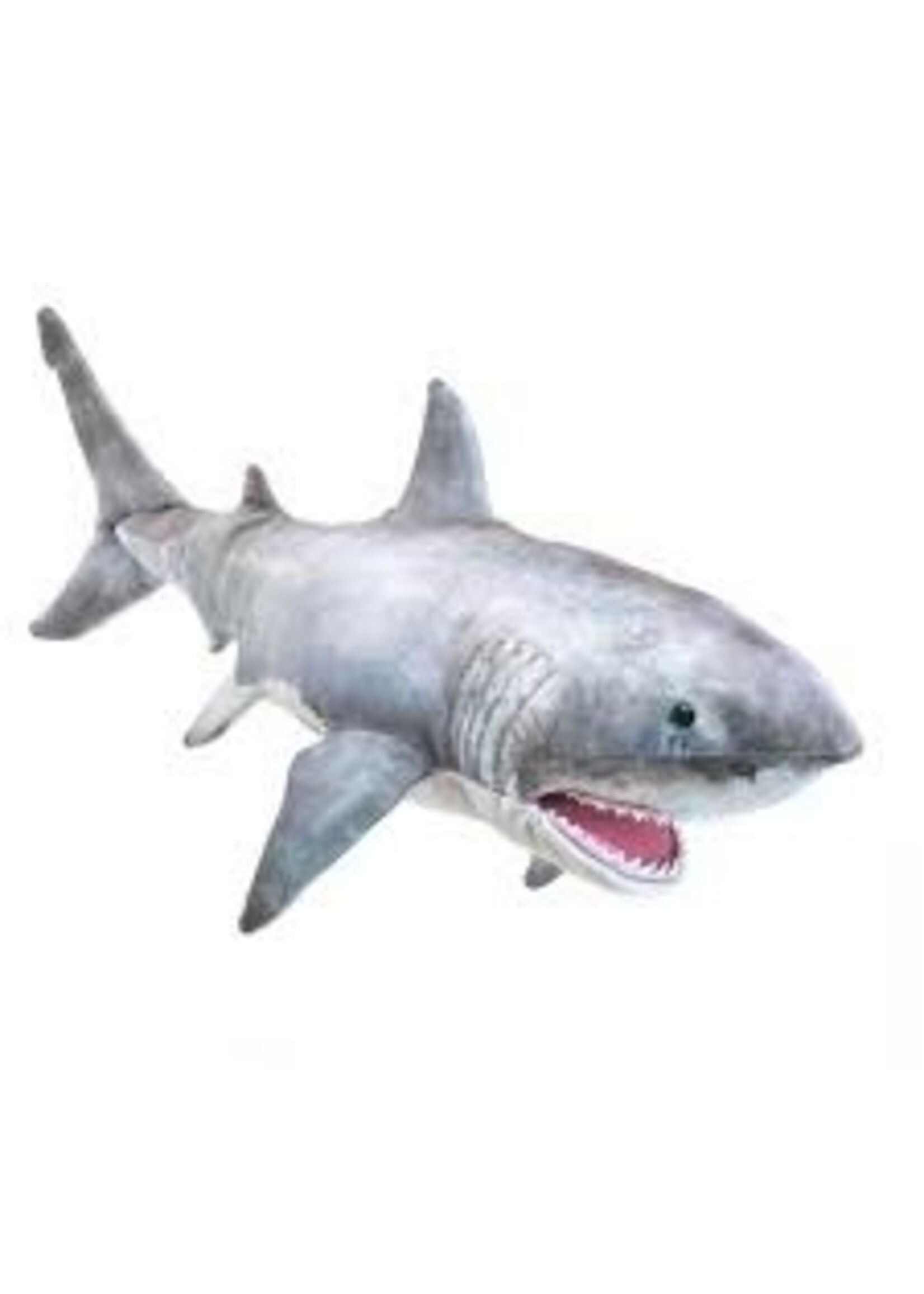 PUPPET SHARK