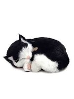 PERFECT PETZZZ PERFECT PETZ BLACK AND WHITE SHORTHAIR