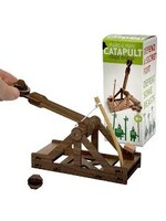 MAKE A MINI CATAPULT