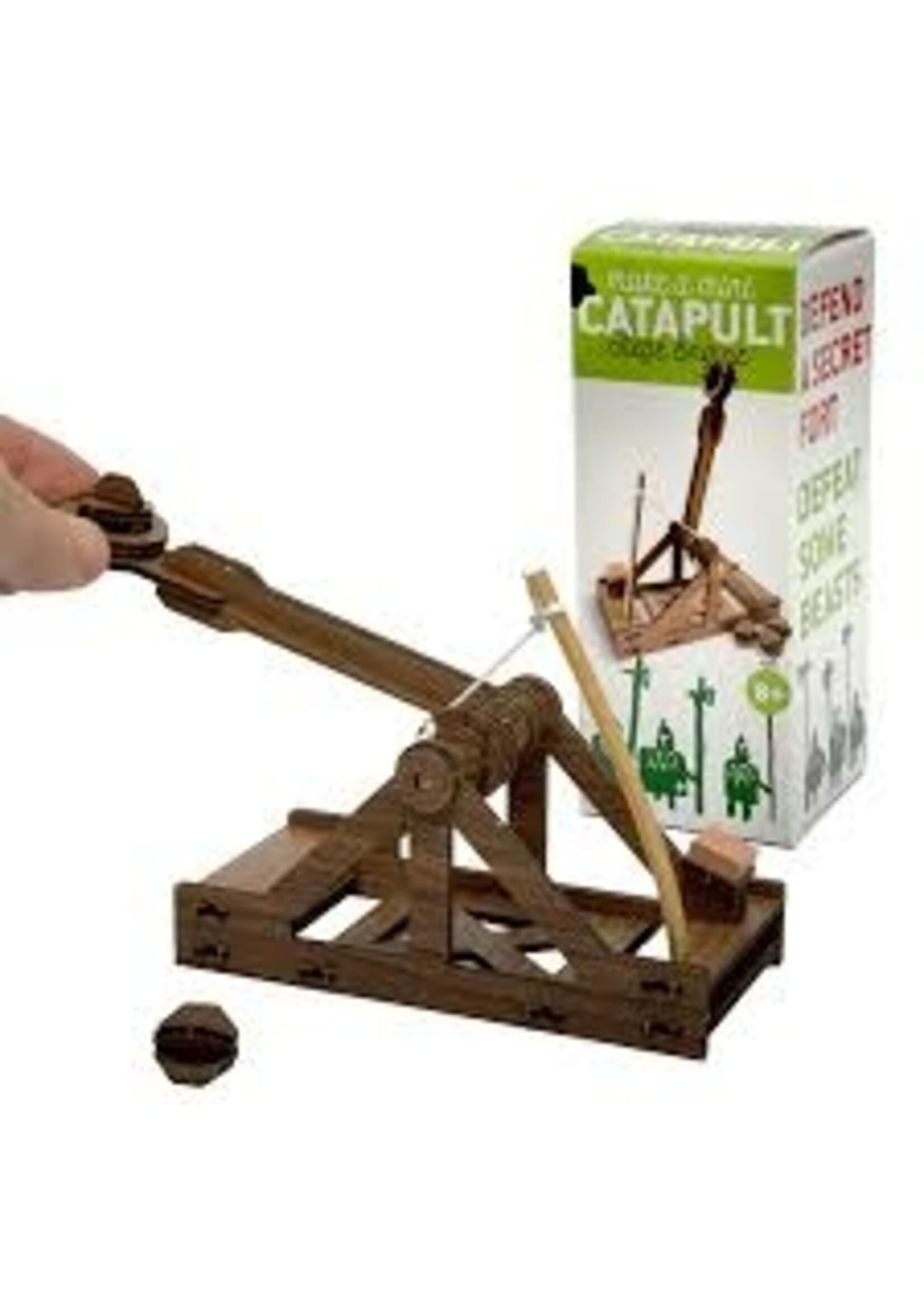 MAKE A MINI CATAPULT