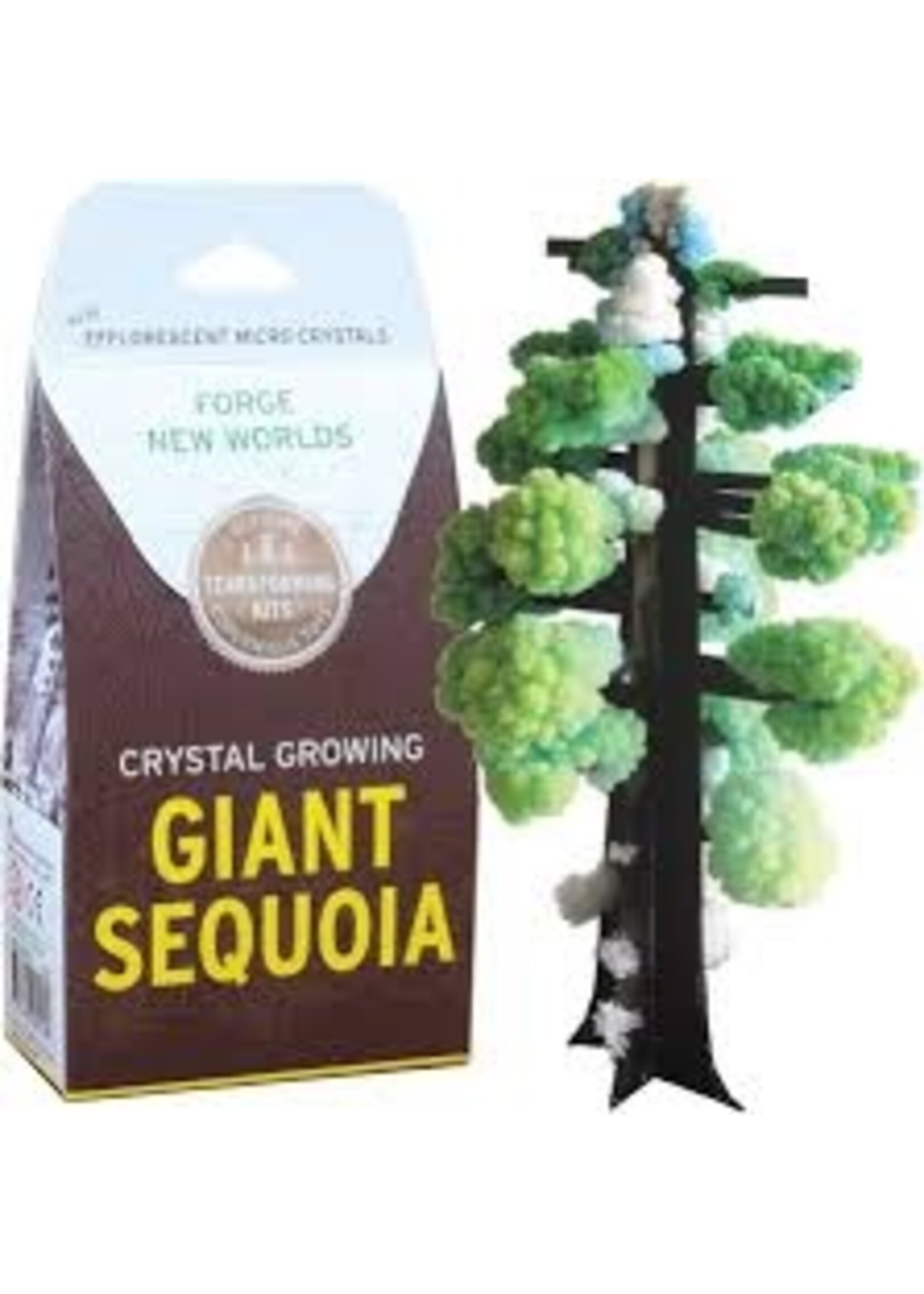 CRYSTAL GROWING GIANT SEQUOIA