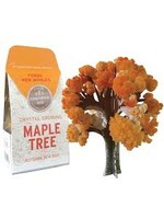 CRYSTAL GROWING MAPLE TREE