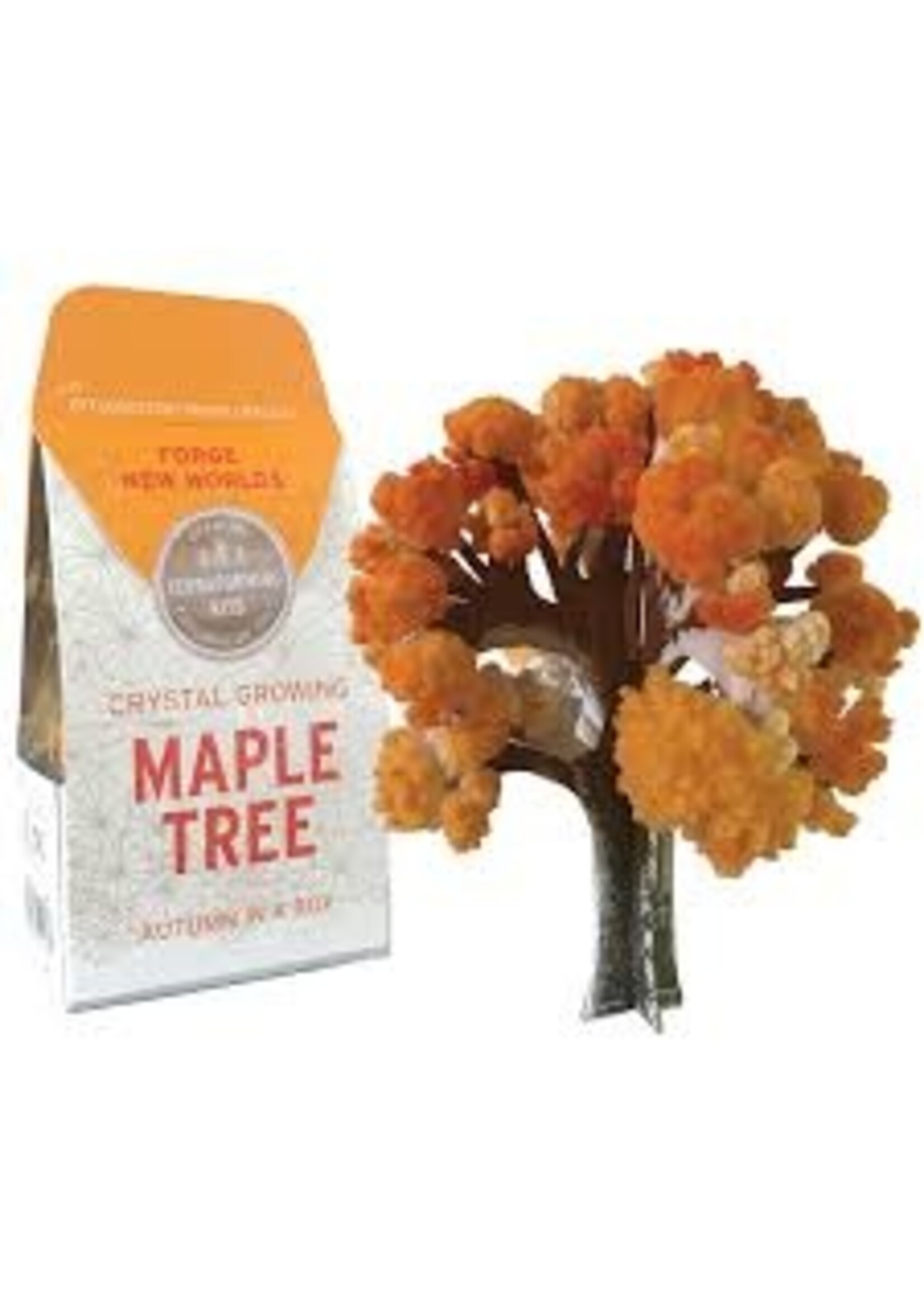 CRYSTAL GROWING MAPLE TREE