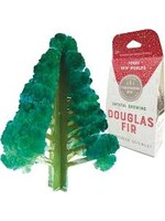 CRYSTAL GROWING DOUGLAS FIR