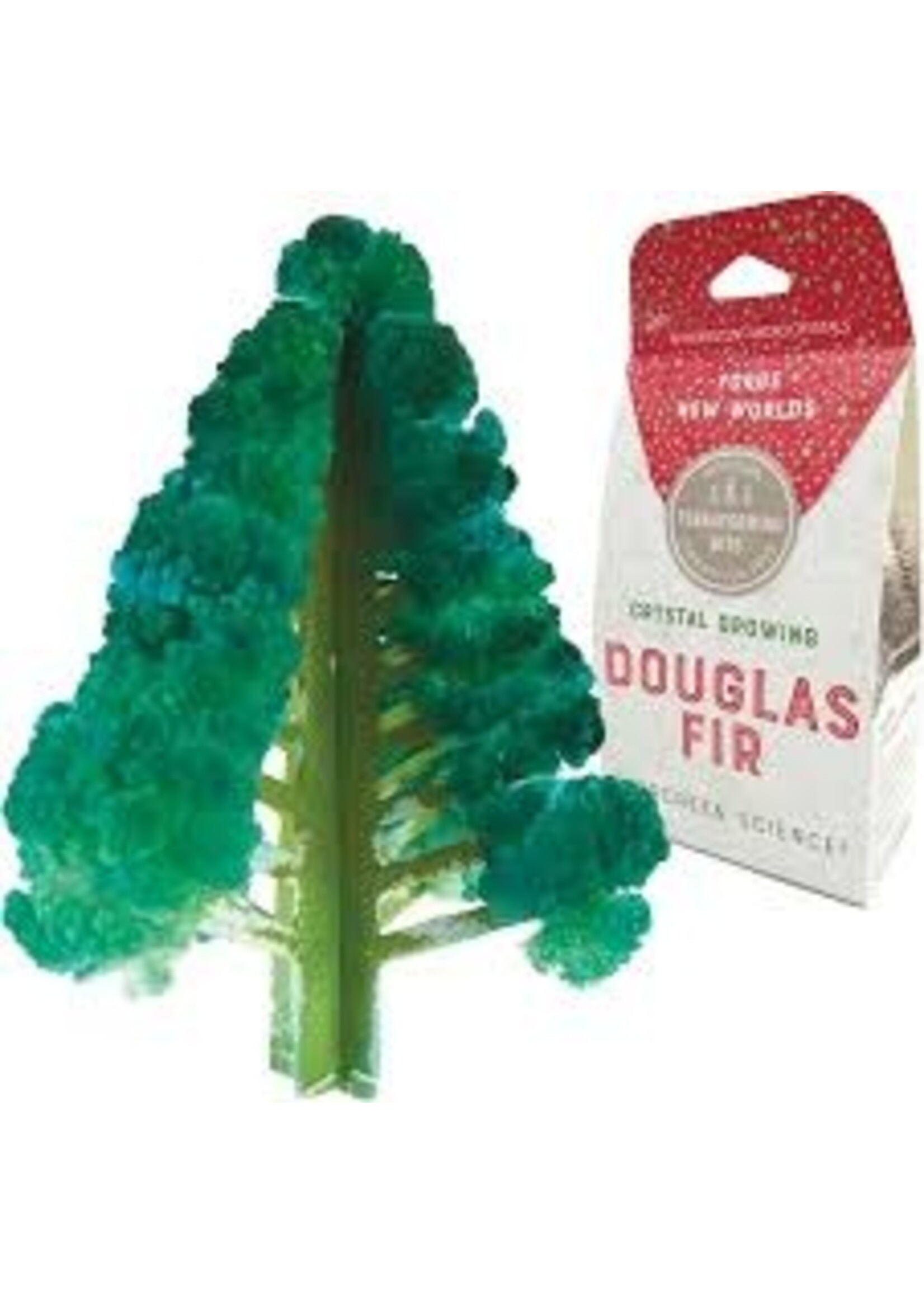 CRYSTAL GROWING DOUGLAS FIR