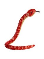 AURORA SNAKE RED CORN