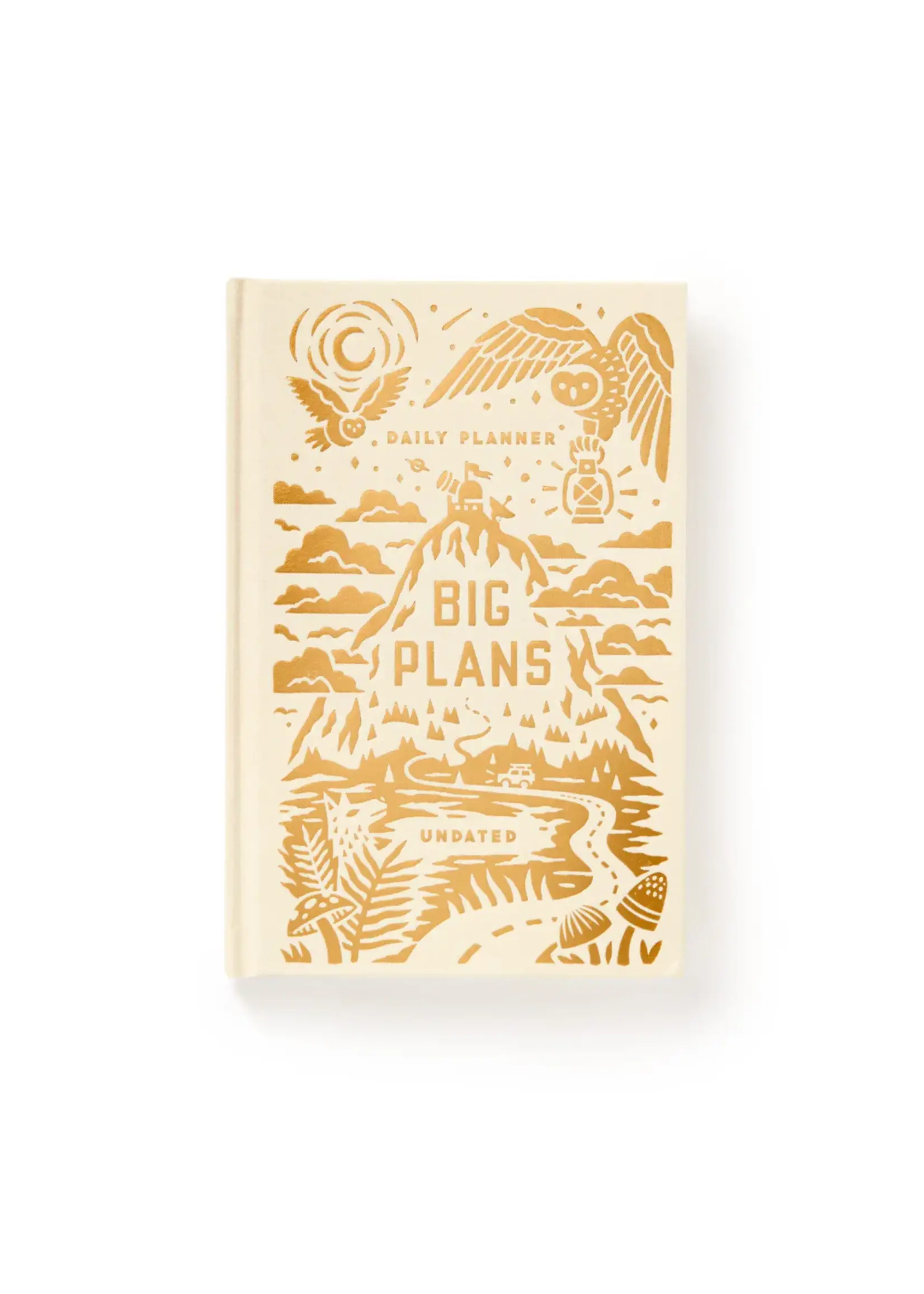 HACHETTE BIG PLANS DAILY PLANNER