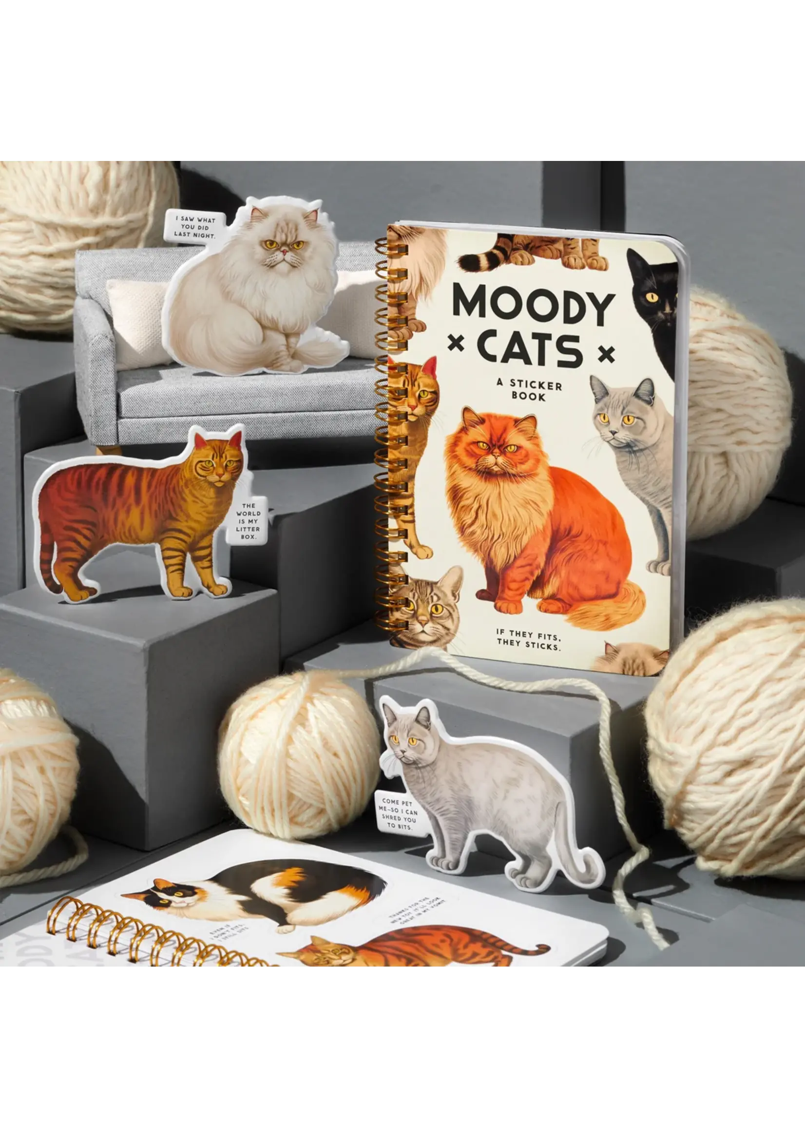 HACHETTE MOODY CATS STICKER BOOKS