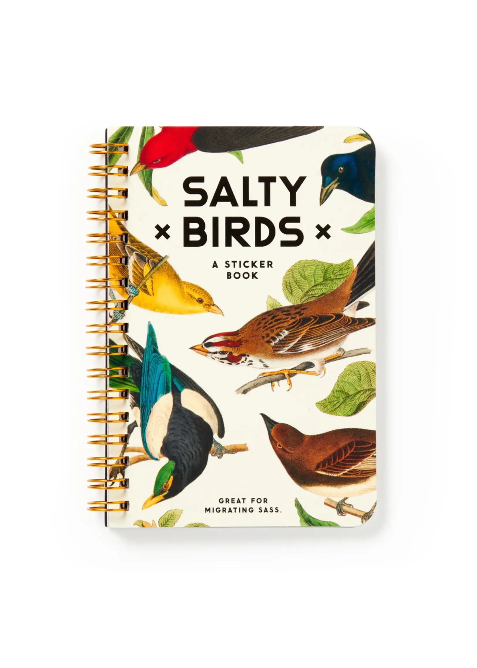 HACHETTE SALTY BIRDS STICKER BOOK